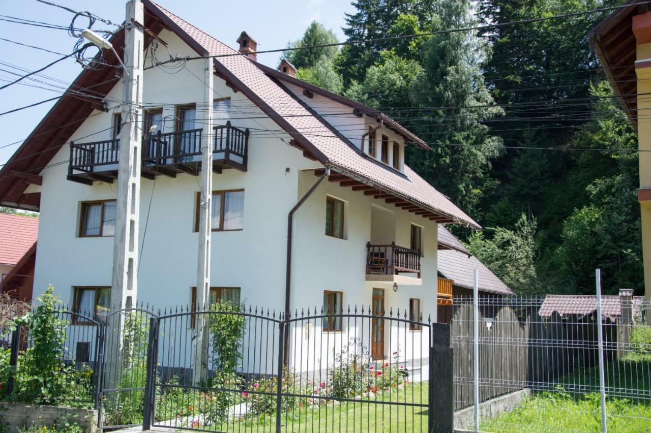 Green Forest Bran House Hotel Exterior photo